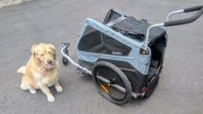 Burley bark pet for sale  Bloomingburg