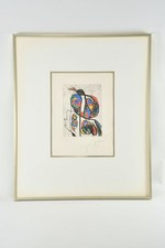 N53u60 joan miró gebraucht kaufen  Neu-Ulm