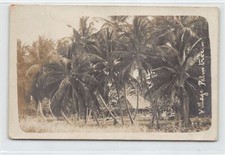Nigeria village palm d'occasion  France