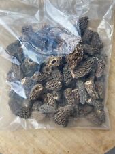 Morilles séchées pieds d'occasion  Audincourt