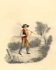 H.e. farm boy for sale  TROWBRIDGE