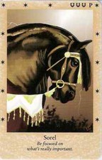 CARTÃO SOREL RARO SÉRIE GUERREIROS SÁBIOS DINAMARQUESES BELLA SARA comprar usado  Enviando para Brazil