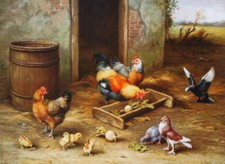 Vintage art chickens for sale  Ahsahka