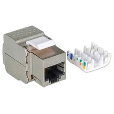 2pz. frutto keystone usato  Firenze