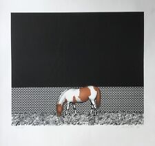 Dieter asmus farbserigraphie gebraucht kaufen  Solingen