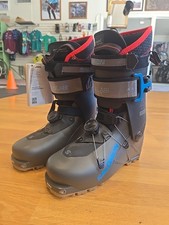 salomon s lab for sale  Missoula
