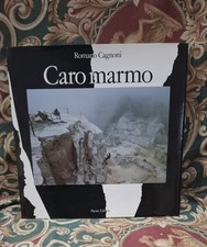 Romano cagnoni caro usato  Lucca