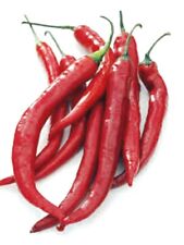 Cayenne chilli chili for sale  LONDON