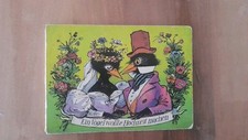 Vogel wollte hochzeit gebraucht kaufen  Coswig