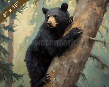 Black bear climbing for sale  New York