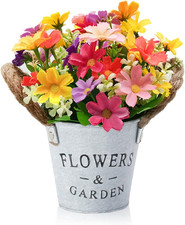 Pianta finta interno usato Pianta finta interno usato  Bondeno