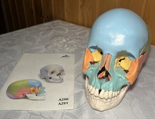 Scientific a291 steopathie gebraucht kaufen  Oppach