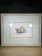 Morgan nautical seashell for sale  Columbus