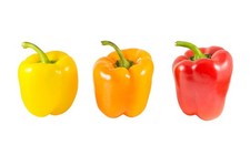 Photo trio poivron d'occasion  France