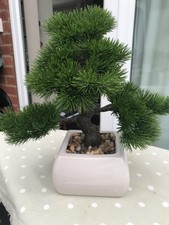 Lifelike bonsai fir for sale  NEWARK