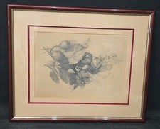 Tableau dessin nature d'occasion  Toulouse-