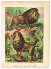 Antique print vintage for sale  Yucca Valley