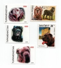 Neapolitan mastiff collection for sale  COLEFORD