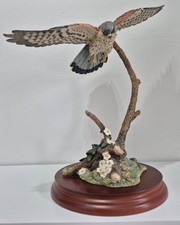 X15 bird collection for sale  FALKIRK