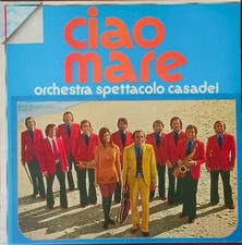 Disco vinile giri usato  Novara
