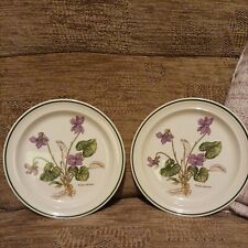 Botanical collection side for sale  NOTTINGHAM