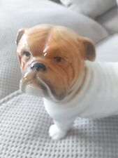 Nelson staffordshire bull for sale  BEXHILL-ON-SEA