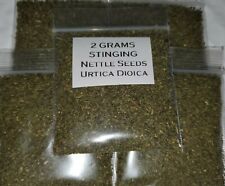 000 stinging nettle for sale  Anacortes