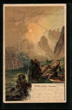 Lithographie wildenstein donau gebraucht kaufen  Berlin