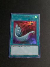 Harpie feather duster usato  Uscio