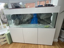 6ft aquarium fish for sale  TADCASTER