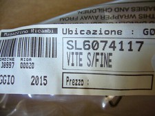 Vite senza fine usato  Este