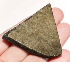 78.35ct natural golden for sale  Walnut
