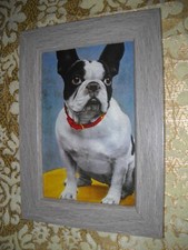 French bulldog portrait for sale  Fresno