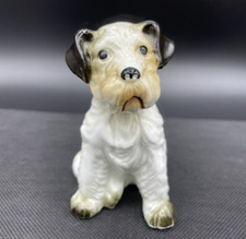 Airedale terrier puppy for sale  Sterling