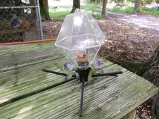 Perky pet finch for sale  Georgetown