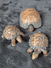 Wade tortoise trinket for sale  STOKE-ON-TRENT