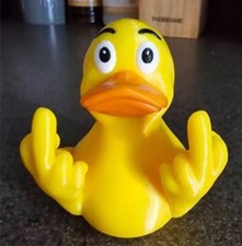 Funny middle finger for sale  Mchenry