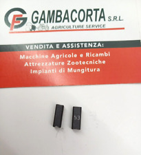 Coppia spazzole 3.8 usato  Ariano Irpino