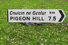 Large irish old for sale  Ireland