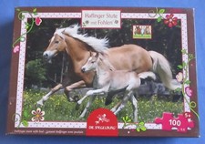 Haflinger stute fohlen gebraucht kaufen  Salzhemmendorf