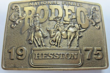 Fibbia cowboy adulto usato  Spedire a Italy