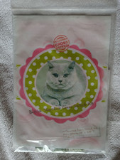 british shorthair cat for sale british shorthair cat for sale MANSFIELD