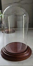 Glass dome display for sale  BOURNE END