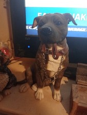 Cat dog figurine for sale  MANCHESTER