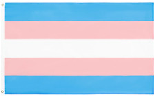Trans pride fahne gebraucht kaufen  Hamburg