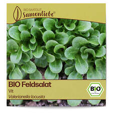 Bio feldsalat samen gebraucht kaufen  Worms