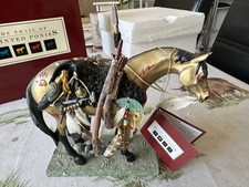 Trail painted ponies. for sale  COALVILLE