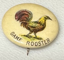 1890 game rooster for sale  Mount Juliet