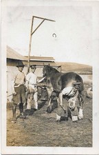 Ww1 postcard soldiers for sale  DEAL