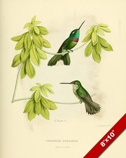 Humming birds perched for sale  South Jordan